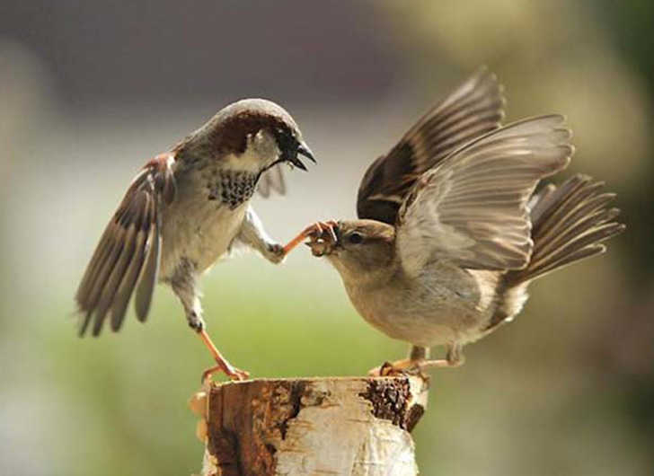 Stop Talking